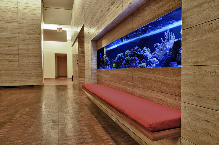 Custom Aquarium